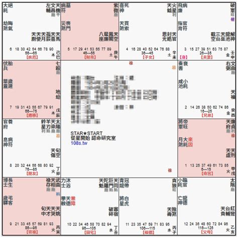 廉貞天府坐命|紫微命盤解析——廉貞、天府在辰、戌宮